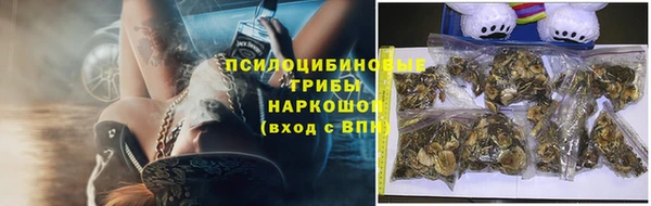 MDMA Бородино