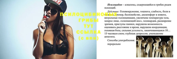 дмт Богданович