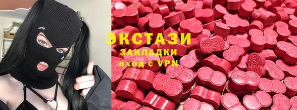дмт Богданович