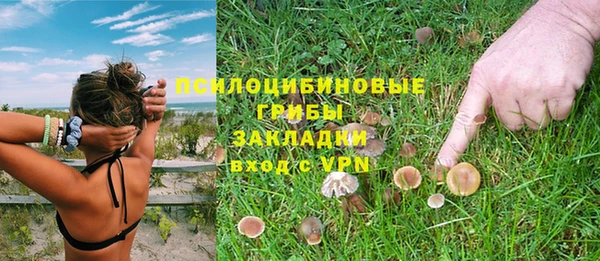 круглые Бронницы