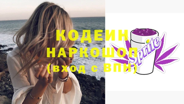 дмт Богданович