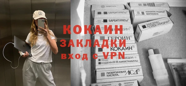 дмт Богданович