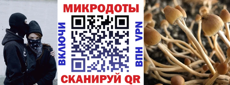 что такое   Дятьково  Галлюциногенные грибы мицелий 