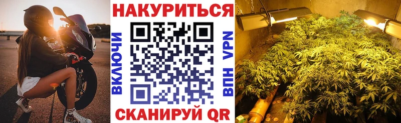 Бошки Шишки Ganja Дятьково